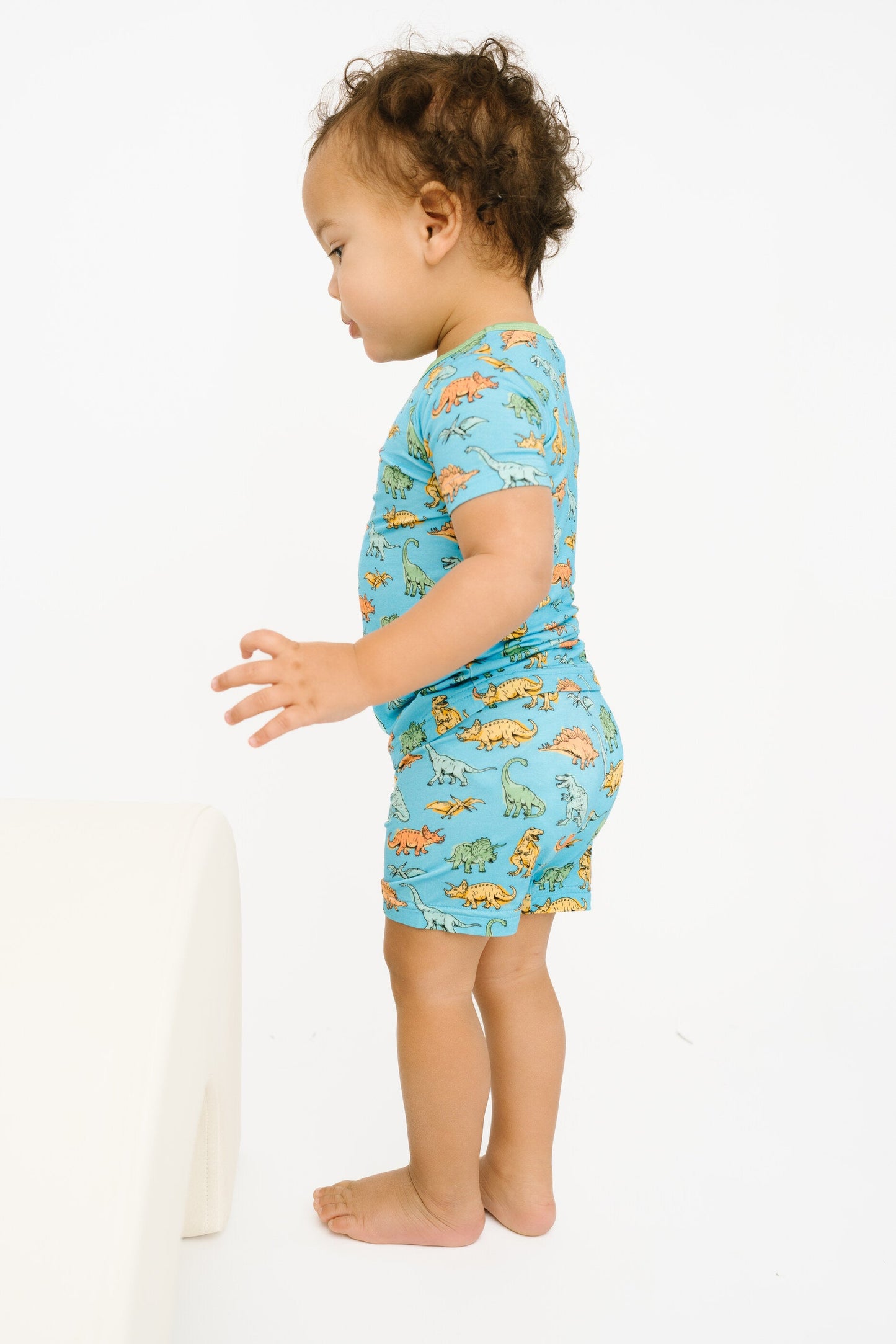 Dino Land Bamboo Shorts Set