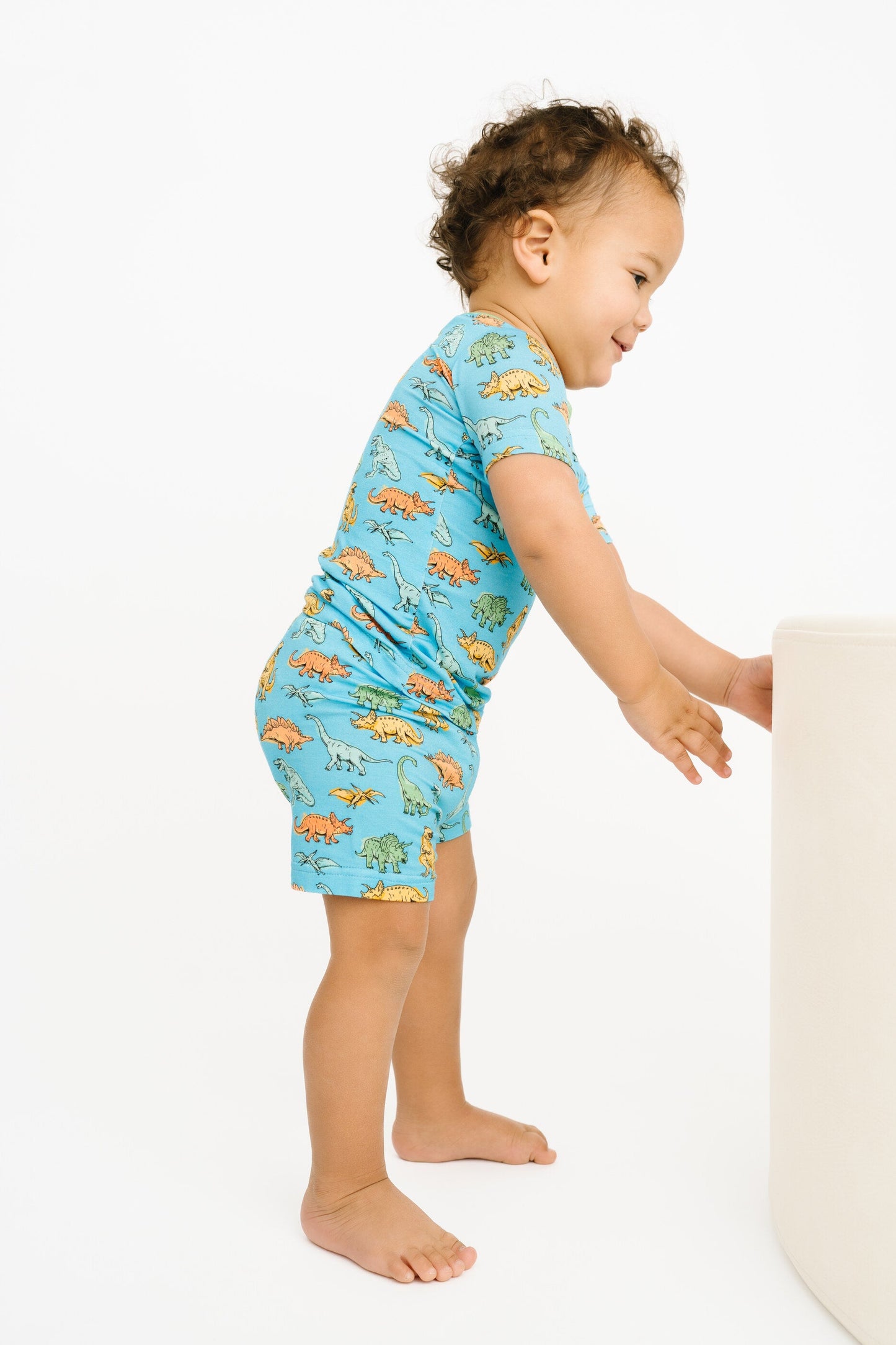 Dino Land Bamboo Shorts Set